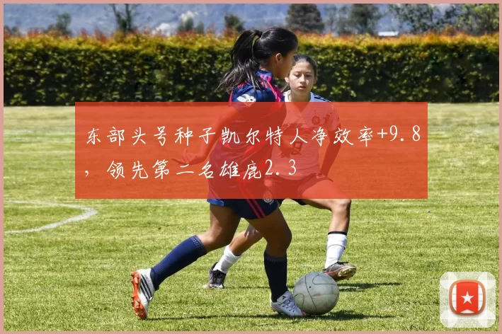 东部头号种子凯尔特人净效率+9.8，领先第二名雄鹿2.3