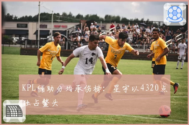 KPL辅助分均承伤榜：星宇以4320点独占鳌头