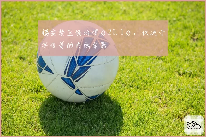 锡安禁区场均得分20.1分，仅次于字母哥的内线杀器