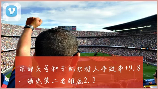 东部头号种子凯尔特人净效率+9.8，领先第二名雄鹿2.3