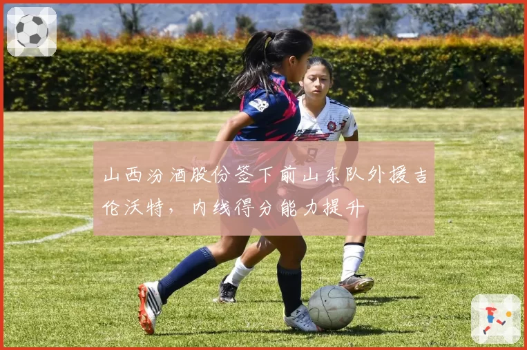 山西汾酒股份签下前山东队外援吉伦沃特，内线得分能力提升